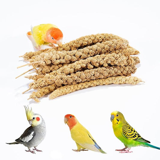 14 Oz Spray Millet Treat for Bird, for Parrot, Budgies, Parakeets, Cockatiels, Finches, Lovebirds, Canaries and Other Pet Birds