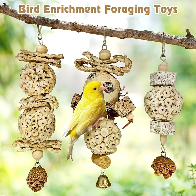 BNOSDM Hanging Bird Toy Sola Balls 3PCS Parrot Shredder Balls Natural Parakeet Foraging Toy Wood Bird Cage Chew Toys for Cockatiel, Budgie, Sun Conure, Quakers, Lovebirds (A)