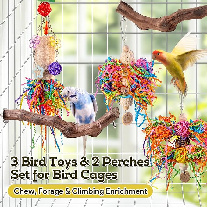 Bird Toys, Parakeet Foraging Toys, Hanging Chewing Toys with Natural Wooden Perches, Bird Cage Accessories, Suitable for Parakeets, Cockatiels, Budgies, Lovebirds & More