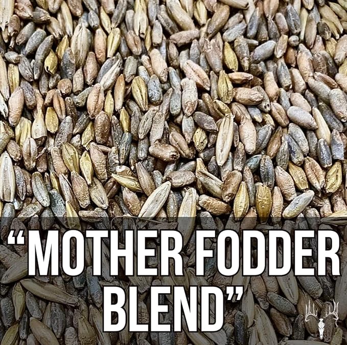 Crooked Bend Mother Fodder Blend, 12LB EcoPack, Grain Seeds for Bird Food & Growing Fresh Green Grass Sprouts to Feed Pet Rabbits, Cows, Horse, Chicken, Goat, Sheep, Quail, Dog, Cat, Duck & Tortoise