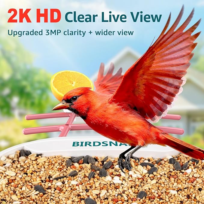 birdsnap® TUC Bird Feeder with Camera 2K HD Live with 32GB Card Auto Detect & Notify AI Identify Camera Birds Feeders Solar Powered Wireless Outdoors Backyard Gift for Mom Dad Birds Lover, 2.4G WiFi