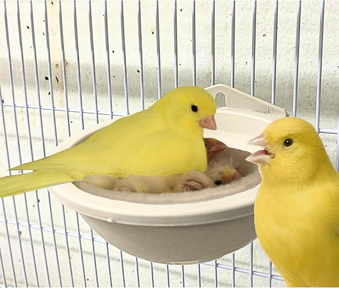 Plastic Bird Nests with Bird Nesting Pad - Round Bird Nest for Cage, Bird Nest House Mounted Inside Cage, Plastic Canary Nest Perch, Goldfinches, Finches and Exotic Birds Pack of 3
