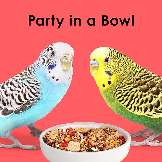 Kaytee Fiesta Parakeet Food 25 lb