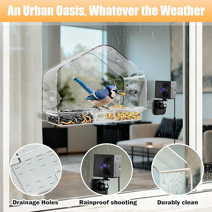 Smart Window Bird Feeder with 2K Camera & AI Identification, Strong Suction Cup Mount, All-Weather Design, Real-Time Alerts, Easy to Install, for Apartments & Homes, for Bird Lovers