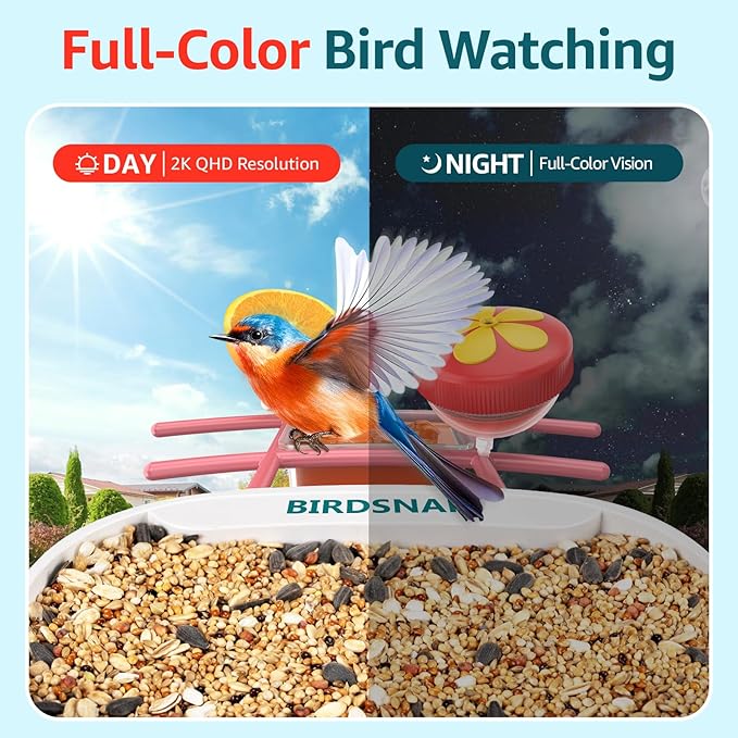 birdsnap® TUC Bird Feeder with Camera 2K HD Live with 32GB Card Auto Detect & Notify AI Identify Camera Birds Feeders Solar Powered Wireless Outdoors Backyard Gift for Mom Dad Birds Lover, 2.4G WiFi