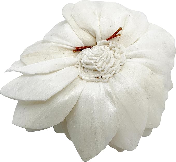 5176 Pk4 Sola Shred Lotus - Handmade Sola Wood Bird Foot Toys, Shreddable Lightweight Flowers, Easy for Small Pets to Manipulate, Stick Treats Inside, Great Foraging Toys