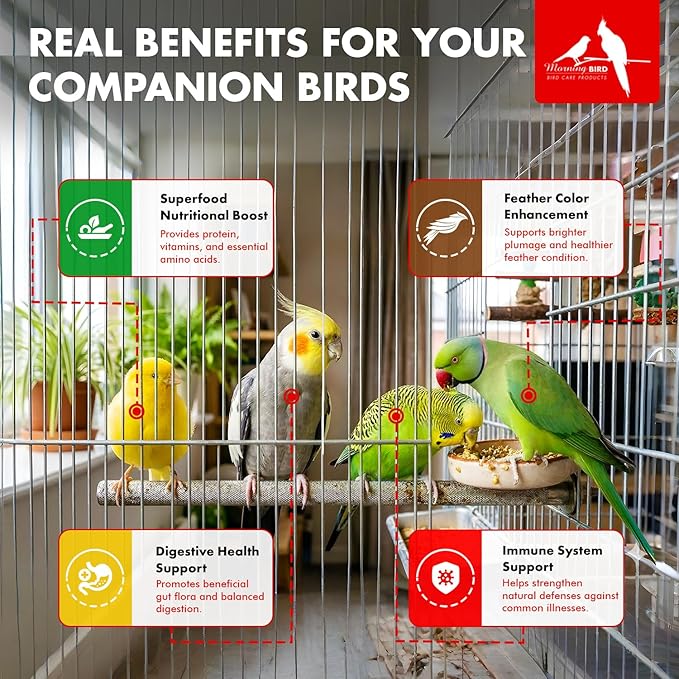 Morning Bird Spirulina 2 oz – Organic Superfood Supplement for Birds – Rich in Vitamins, Protein & Amino Acids – Ideal for Parakeets, Cockatiels, Budgies, Finches, Canaries & Parrots