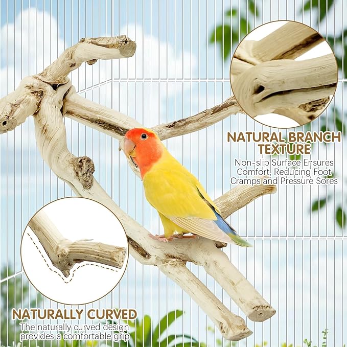 kathson Bird Perch Stand 10"-12" Nature Wood Stand Toy Parrot Cage Branch Paw Grinding Fork Parakeet Platform for Parakeets Cockatiels Conures Finches Love Birds（Small）