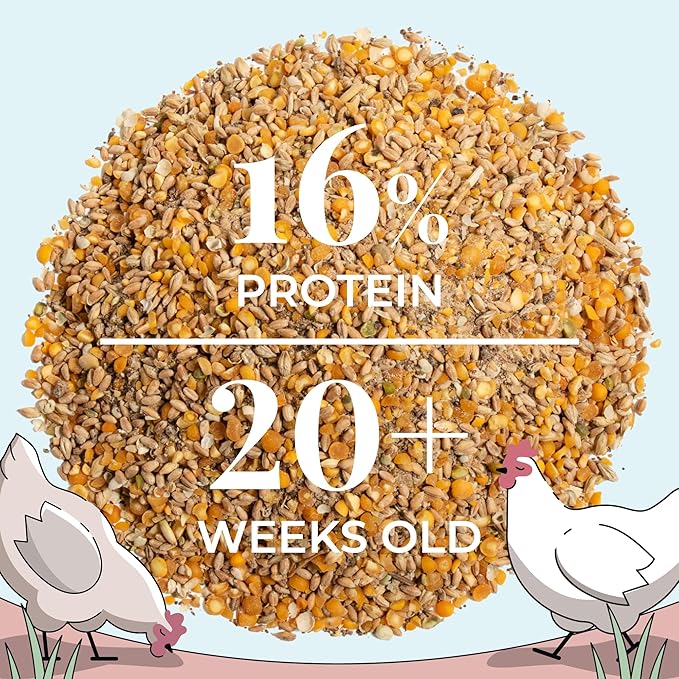 Mile Four Organic Chicken Feed (46 lbs) Layer Whole Grain, Non-GMO, USA Grown, 16% Protein, Corn-Free, Soy-Free, Non-Medicated Feed for Chickens