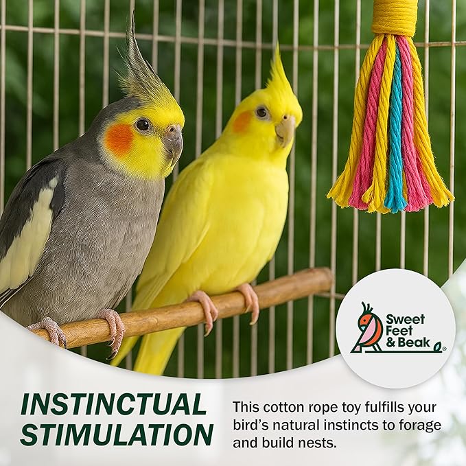 Sweet Feet & Beak Cotton 3”x11 Bird Rope Toy - Colorful Parrot Chew Toys for Shredding & Chewing - Engaging & Stimulating Bird Toys for Parrots, Small and Large Birds - Cage Accessories