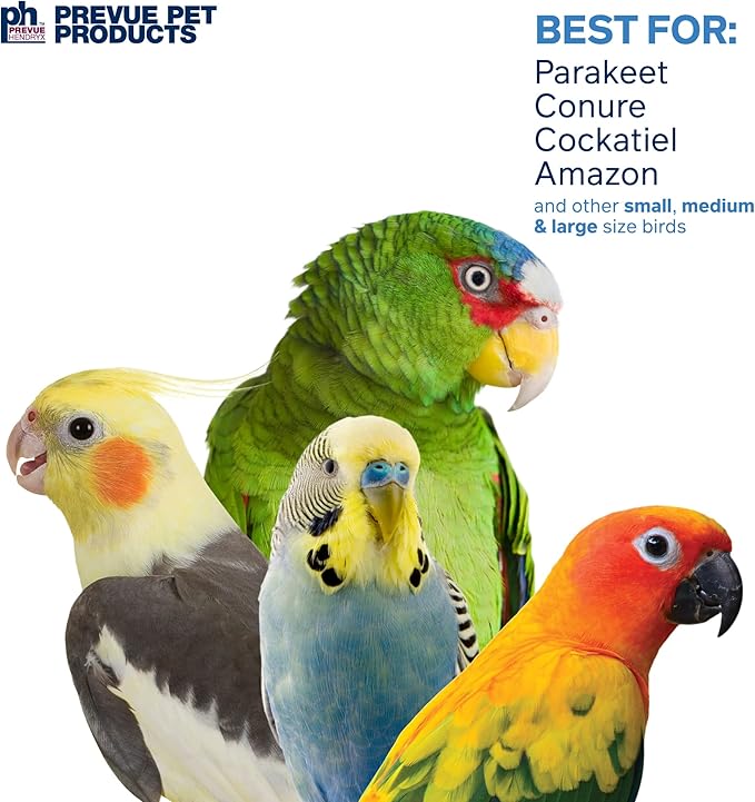 Prevue Pet Products Naturals Coco Hideaway with Ladder - Bird Toy for Parrots, Conures, Cockatiels, Budgies, and Small to Medium Birds, Cage Accessory for Climbing, Resting, and Beak Exercise
