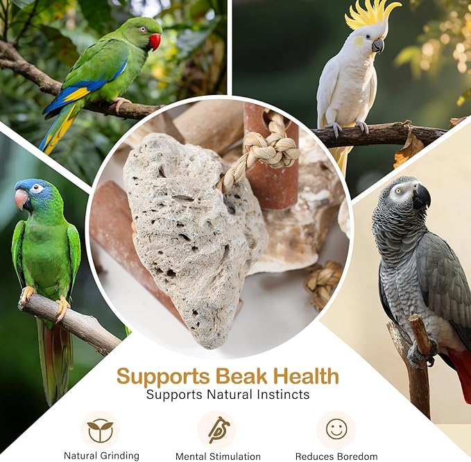 Natural Bird Toys for Parrots – 18in Handmade Shredding & Foraging Toy with Coconut Shells, Wood Blocks & Lava Stones – Parrot Toys for Sun Conures, Conures, Caiques, Cockatiels, Quaker Parrots