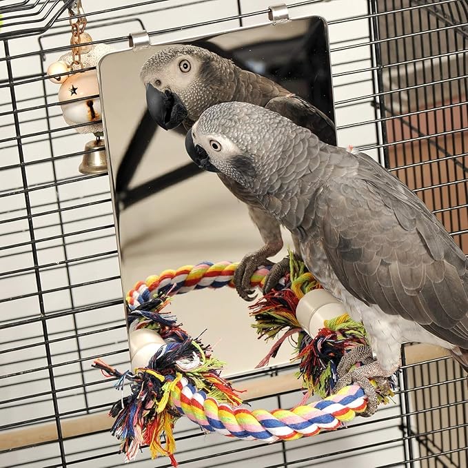 Colorday 9" Bird Mirror for cage with Rope Perch, Bird Swing, Parrot Cage Toy for Parakeet Budgie African Grey Conure Cockatiel Lovebird Finch Canarie, Large
