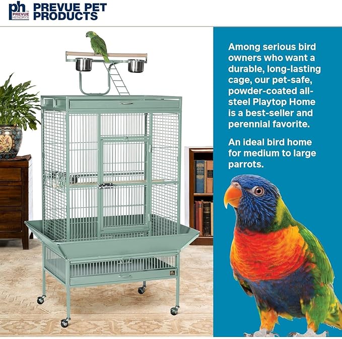 Prevue Hendryx Pet Products Wrought Iron Select Bird Cage 3153SAGE, Sage Green, 30-Inch by 22-Inch by 63-Inch