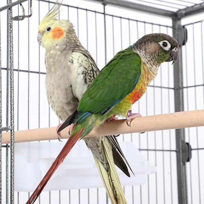 Aviary on Stand Large Bird Cage on Wheels Sturdy Metal for Parrot Parrots 93.5 x 56.5 x 153 cm