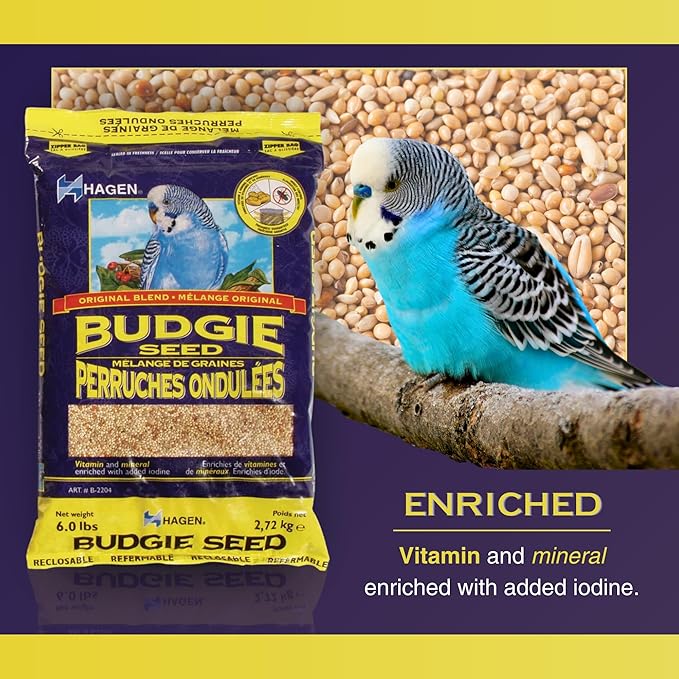 Hagen Parakeet/Budgie Staple White Millet Bird Seed Seed – Premium Blend, Nutritionally Balanced, Fortified with Vitamins & Minerals, Dust-Free Mix for Budgies, 25 lb Bag