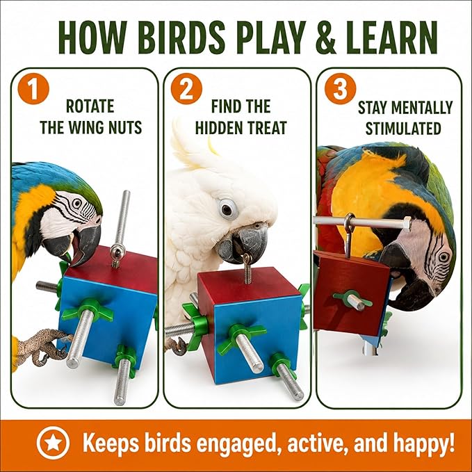 Bird Toys for Large Birds (Busy Box) | Treat Dispenser for Macaws, Cockatoos & Parrots | Bird Foraging Toy for Medium to Extra Large Birds | Natural Foraging Behavior Builder | Durable Cage Accessory