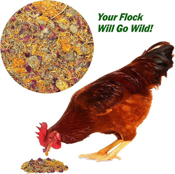 Exotic Nutrition Egg-Cellent (6oz) - Healthy All-Natural Chicken Nesting Herbs - Natural Flowers, Herbs & Calcium Carbonate - Promotes Healthy Chickens & Eggs (6 oz)
