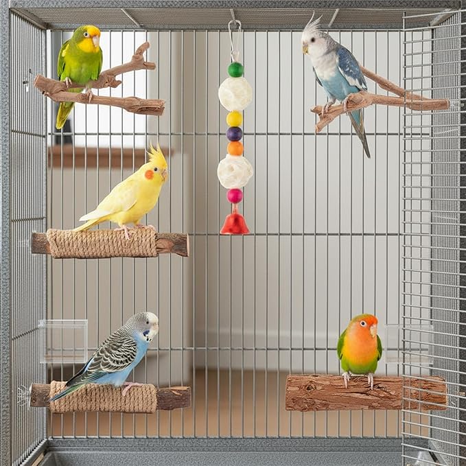Natural Wood Bird Perches - 6PCS Wooden Parrot Stand Platform, Parakeet Climbing Standing Branches Toys, Paw Grinding Stick Fork Chewable Cage Accessories for Cockatiels Conure Lovebird Budgies