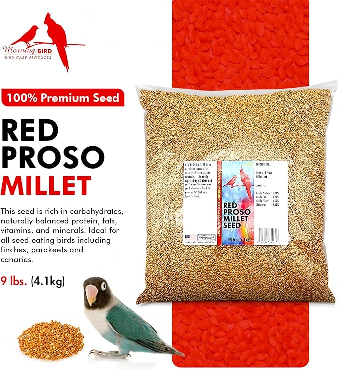 Morning Bird Red Proso Millet 9 lbs – Natural Bird Seed – Supports Feather Growth & Balanced Nutrition – Great Flavor, Energy Dense - Ideal for Finches, Parakeets & Pet Birds