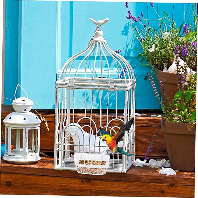 2pcs Plastic Bird Feeders Transparent Hanging Food Bowls for Parrots Birds Capacity Feeders for Learning to Eat