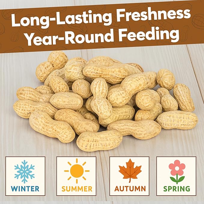 25 LB - Raw Peanuts For Squirrels, Raw In Shell Peanuts For Birds and Wildlife- Squirrel Food, Wild Bird Seed - Grown in The USA