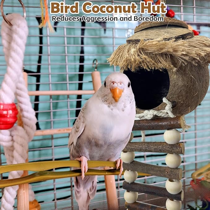 PINVNBY Hanging Coconut Bird Nest Hut with Ladder, Natural Coconut Hide Lovebird House Fruit Wood Bird Swing for Parakeet Cockatiel Budgie Conure Canary Finch Budgies