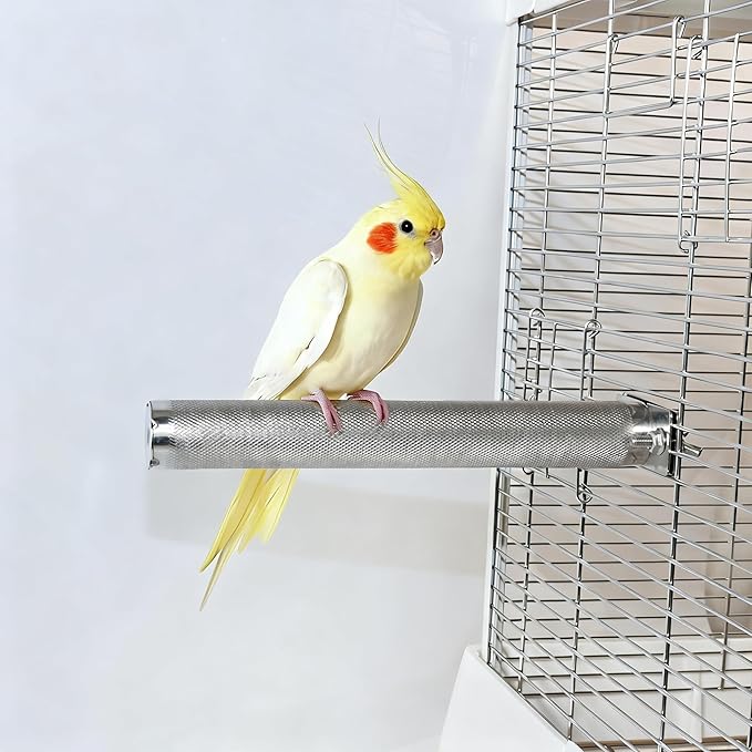 AOTU Large Bird Perch Stainless Steel Parrot Perches Bird Stand for Cage Durable Beak & Claw Trimming Grinding Perch for Birds Parrot Cage Accessory (M: 9.8" x 1.2")