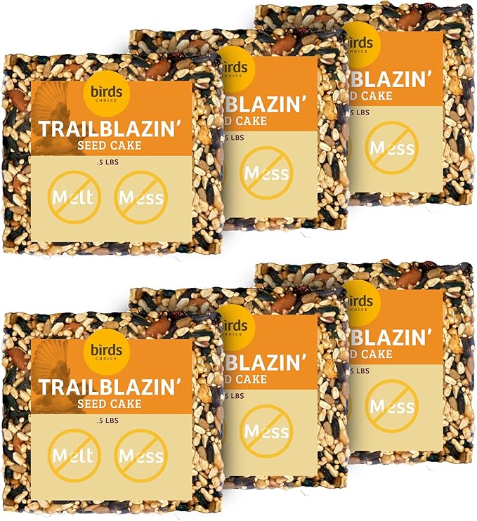 Birds Choice Trail Blazin' Spicy Bird Seed Cake | Squirrel Proof Wild Bird Food with Red Pepper | Black Oil Sunflower Seeds, Peanuts, Safflower & Pecans | High Protein Bird Feeder | 0.5 lbs (6-Pack)