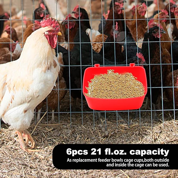6 Pcs 21 oz Medium Feeder Drinker 5.5x3.5x2.3 Food Container Chicken Feeder Hanging Feeding Tray Bowl Box Trough Food Dispenser for Duck Goose Quail Chick Cat and Dog