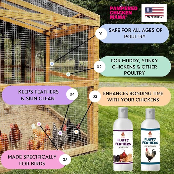 Feather Shampoo for Chickens | Bird Shampoo for Cockatiels, Cockatoo, Parrots: Poultry Conditioner & Baby Chicken Supplies, Gamefowl Supplies for Clean Feathers (Peppermint)
