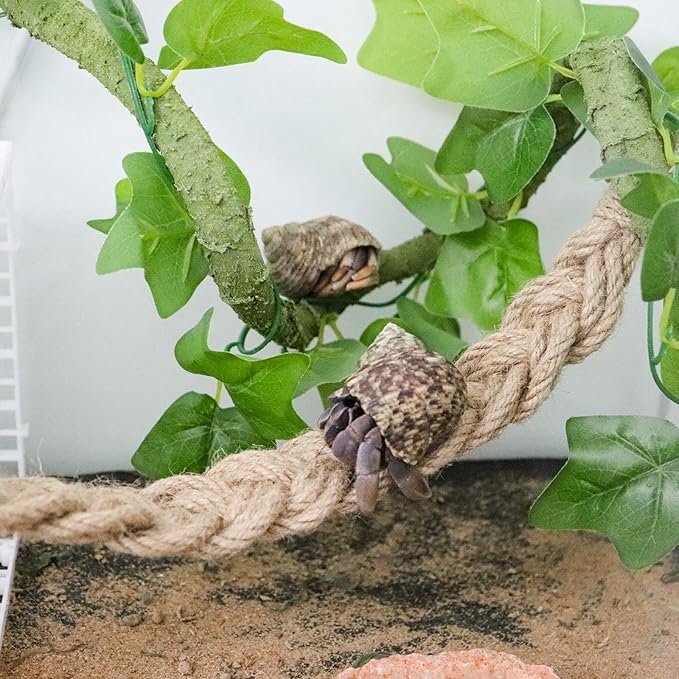 Hermit Crab Climbing Toys, Reptile Rope Ladder Supplies, Tank Aquarium Terrarium Vines Accessories, Habitat Decor for Lizards Geckos Snakes Bearded Dragon