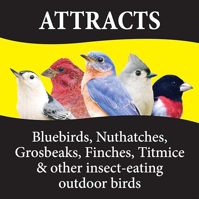 Wild Delight Advanced Formula Bugs N Berries Wild Bird Food 14 lbs
