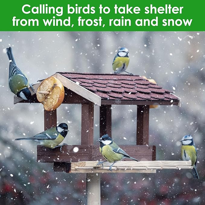 Dreyoo Bird Whistle Call with Rosin, Zinc Alloy & Wooden Birds Caller for Outdoor Birds Watching, Nature Play and Gifts for Bird Lovers(Red Color)