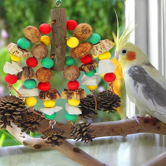 MQUPIN Parrot Toys, Nuts Nutrient-Rich Bird Toys,Natural Wooden Parrot Cage Bite Toy,Chewing Toy Containing Cuttlefish Bones,Pine Cones,Wooden Mangoes and Carambola for African Greys,Cockatoo,Budgie