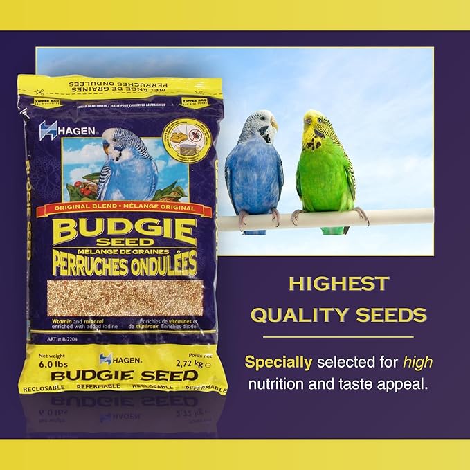 Hagen Parakeet/Budgie Staple White Millet Bird Seed Seed – Premium Blend, Nutritionally Balanced, Fortified with Vitamins & Minerals, Dust-Free Mix for Budgies, 25 lb Bag