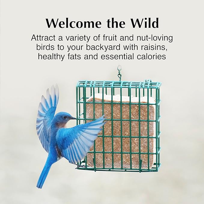 C&S Party Mix Suet Treat, Suet Cakes for Wild Birds Including Robins, Blue Jays, Woodpeckers, Wrens, Bluebirds and More, 11 Ounces, Pack of 8