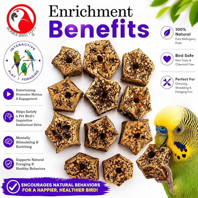 Bonka Bird Toys 3893 Natural Mahogany Sliced Pods Chew Toys, Pack of 12, Durable Bird-Safe Foot Toys, Pre-Drilled for Parrots, Cockatiels, and Small to Medium-Sized Birds, Cage Accessories