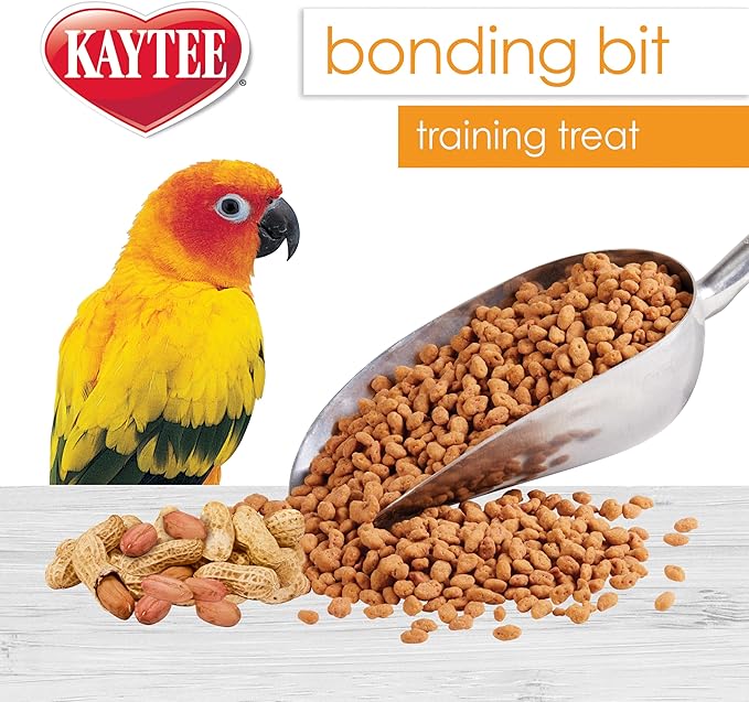 Kaytee Pet Bird Bonding Bits Training Treat for Conures, Cockatiels, Lovebirds, Parakeets, Amazons, African Greys, Ecletus, Pionus, Cockatoos and Macaws, 3 oz