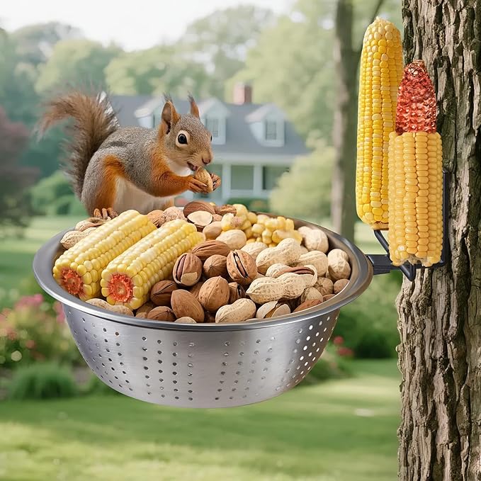 Squirrel Feeder with 8.5" Colander Bowl Tree/Fence Mounted, 2 Corn Cob Spikes for Various Food Backyard, Metal Squirrel Feeders for Outside, Removable Feed Bowl Nice to Clean/Refill,1 Set