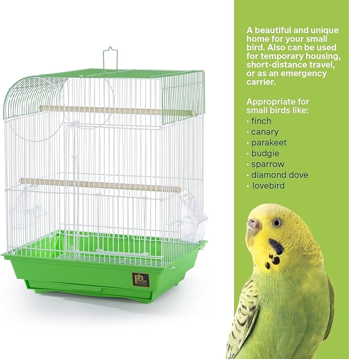 Prevue Pet Products South Beach Flat Top Bird Cage - Ideal for Finches, Canaries, Budgies, and Similarly Sized Birds, Minimal Assembly, Made of Powder-Coated Steel Wire Mesh - Green & White