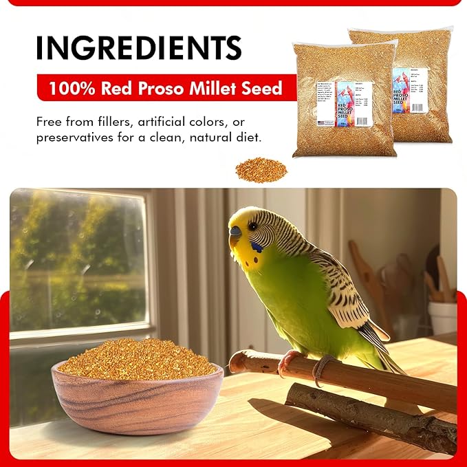 Morning Bird Red Proso Millet Bird Seeds 18 lbs (2-Pack, 9 lbs Each) – Healthy & Nutritious Pet Bird Food - Bird Seeds for Feather Growth – Perfect for Finches, Parakeets & Other All Pet Birds