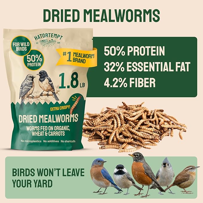 Hatortempt Dried Mealworms for Wild Birds - 1.8 Lb Bag - Bluebird Food - High-Protein Meal Worms for Blue Birds, Robins and Chickadees