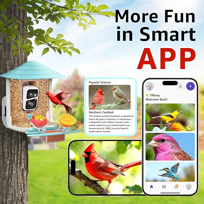 birdsnap® TUC Bird Feeder with Camera 2K HD Live with 32GB Card Auto Detect & Notify AI Identify Camera Birds Feeders Solar Powered Wireless Outdoors Backyard Gift for Mom Dad Birds Lover, 2.4G WiFi