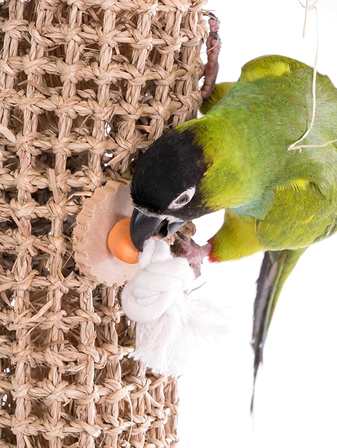 Penn-Plax Bird-Life Natural Seagrass Weave Kabob - Climbing, Hanging, Chewing Bird Toy - for Medium to Large Sized Birds - 21’’H