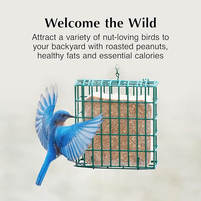 C&S Peanut Suet Treat, Suet Cakes for Wild Birds Including Nuthatches, Woodpeckers and Chickadees, Pack of 8