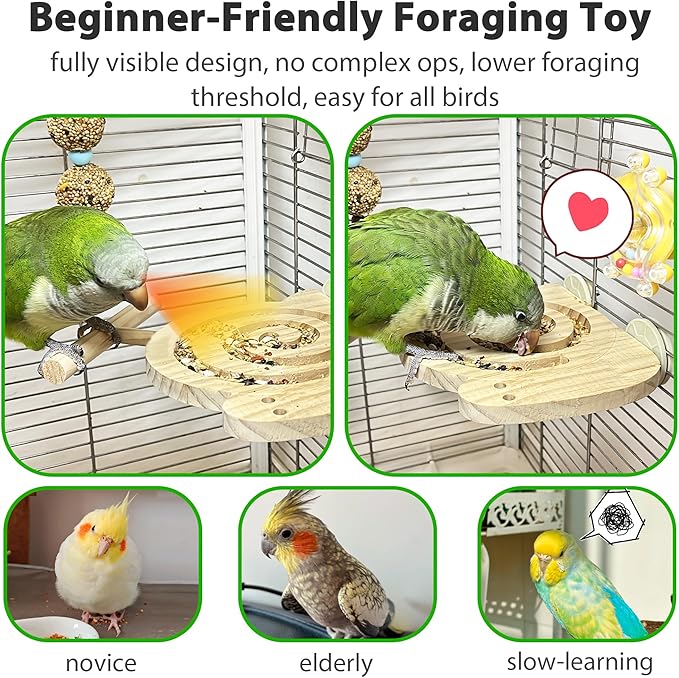 Bird Foraging Toys with Perch, Kiln-Dried Wood Bird Enrichment Toys for Slow Feeder, Parakeet Toy for Cages Reduce Seed Mess, Visible Food Design Parrot Puzzle for Novice/Older/Slow-Learning Birds