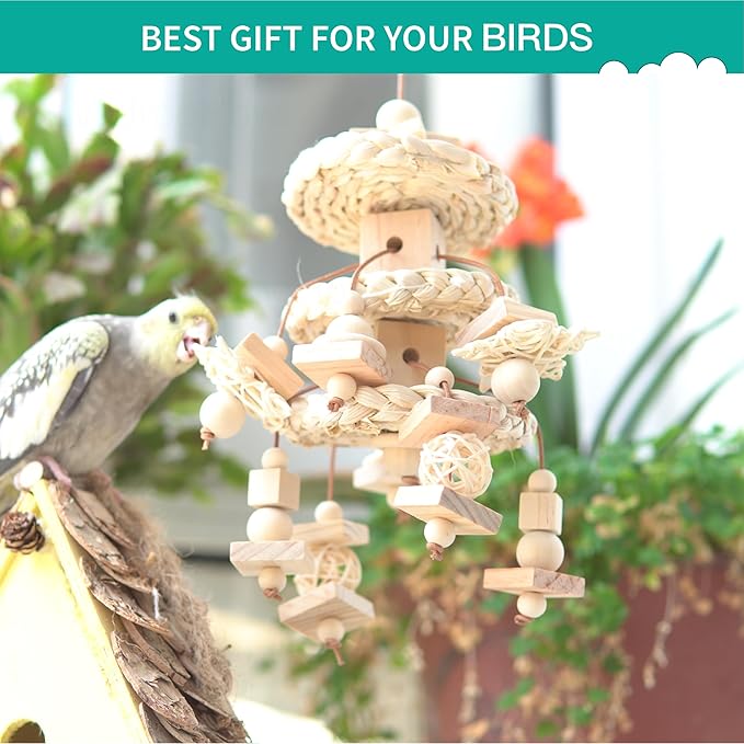 Natural Bird Toys for Quaker Parrot, Lovebird, Parakeet, Cockatiel & Conure – for Chewing, Shredding & Foraging, Corn Husk, Wood & Vine with Leather Cord for Small & Medium Birds