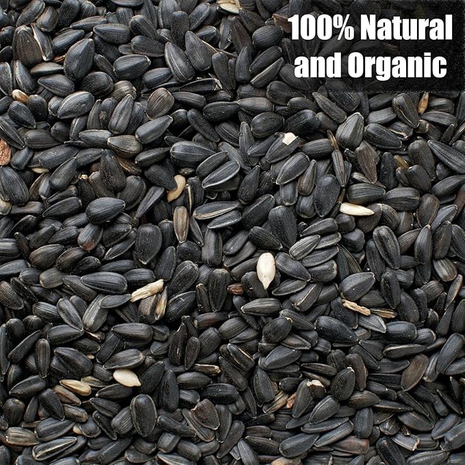 Old Potters Wildlife Black Oil Sunflower Seeds for Birds and Wildlife, Non-GMO & USA Grown on Small Farms (12 lbs)