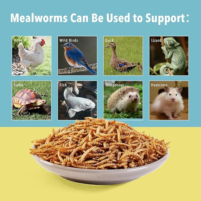 WormsFarm 10lb Dried Mealworms for Wild Birds Chickens Feed for Laying Hens,Ducks,Reptiles